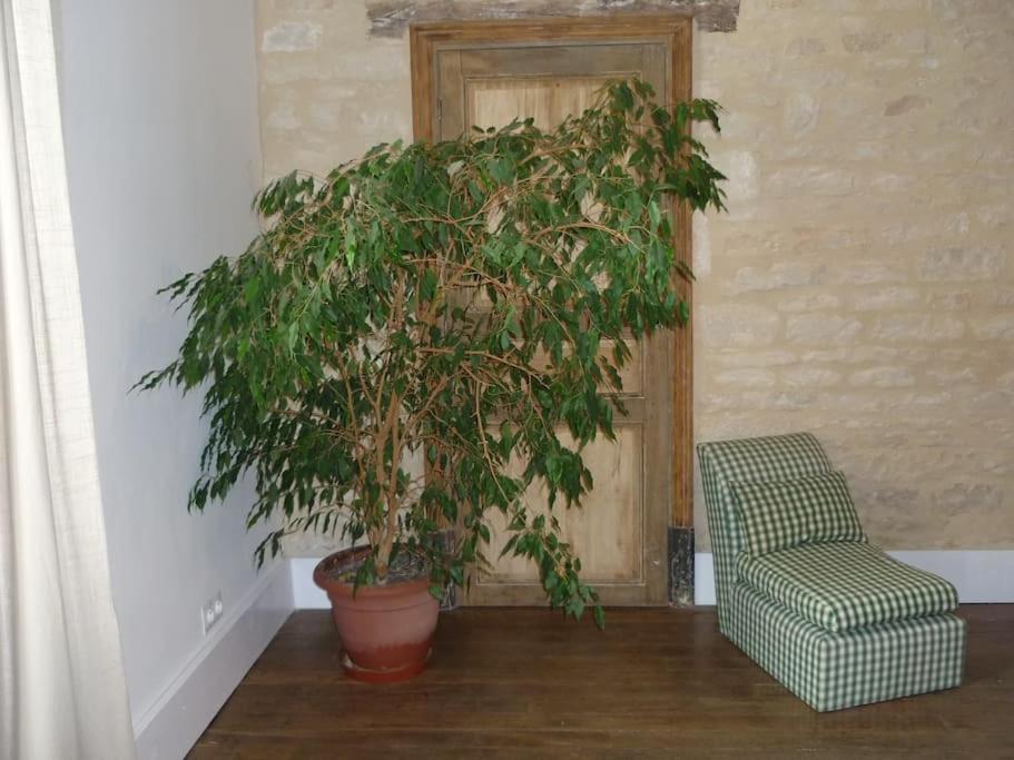 Le Presbytere - Touillon, Jacuzzi, 4 Chambres Pour 10 מראה חיצוני תמונה